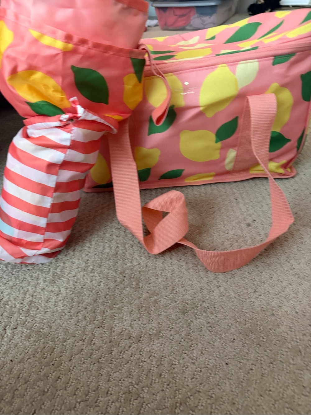 Kate Spade Cooler and Picnic Blanket